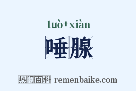 唾腺是什么意思的图片